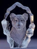 An Adult Lion's Roar Warns Off Intruders and Reunites Scattered Pride Members.
