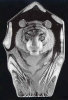 Tiger - 4.5" X 3" by Mats Jonasson