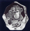 Chimpanzee - 4" X 3.5" by Mats Jonasson