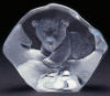 Baby Polar Bear - 3.5" X 4"