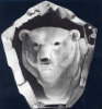 Polar Bear - 9" X 8"