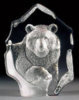 Grizzly Bear - 5" X 4"