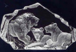 Lion Family - 6.5" X 10.5"