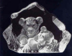 Lion Cubs - 4" X 5.5"