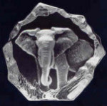 Elephant - 5.5" X 5.5"