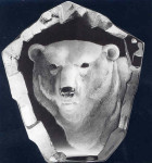 Polar Bear - 9" X 8"