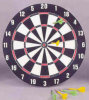 17" Dart Board