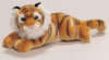 National Geographic - Tiger -