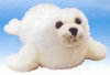 Explorations Cousteau - Seal -