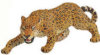 Wild Safari - Leopard Adult -