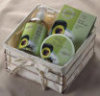 - ZooScape - Avocado and Olive Bronzed Wire Set