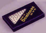 Double Six Dominoes with Vinyl Case