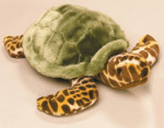 National Geographic - Turtle
