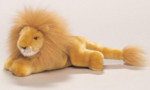 National Geographic - Lion
