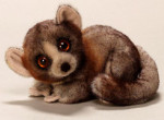 National Geographic - Lemur