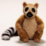 National Geographic - Maki macaco Female Lemur