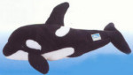 Explorations Cousteau - Orca Whale