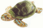 Explorations Cousteau - Turtle
