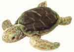 Explorations Cousteau - Turtle
