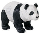 Wild Safari - Panda Bear Cub