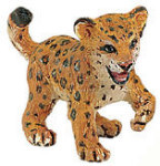 Wild Safari - Leopard Cub
