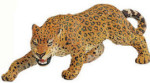 Wild Safari - Leopard Adult