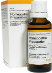Cinnamomum-Homaccord N