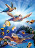 Turtles in Light - Perfalock