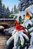 Winter Bridge - Cardinals - Perfalock