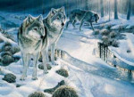 On the Edge - Wolves - Perfalock