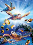 Turtles in Light - Perfalock