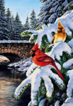Winter Bridge - Cardinals - Perfalock