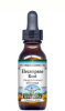 Elecampane Root - Liquid Extract / Tincture (1:5) - Vanilla Flavored Alcohol-Free