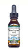 Eucalyptus Leaf - Liquid Extract / Tincture (1:5) - Vanilla Flavored Alcohol-Free