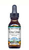 Uva Ursi (Bearberry) - Liquid Extract / Tincture (1:5) - Mint Flavored Alcohol-Free