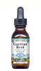 TerraVita - Health - Gentian Root - Liquid Extract / Tincture (1:5) - Mint Flavored Alcohol-Free