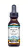 Mugwort Leaf - Liquid Extract / Tincture (1:5) - Mint Flavored Alcohol-Free