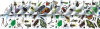 /trait101448/questt120491/critiquet120491Roylco - Toys products - Incredible Insect Papers - Package of 30