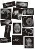 /trait100932/questt120639/critiquet1206395 and up - Toys products - Animal X-Rays - Package of 13