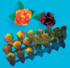 Watercolor Roses - Package of 24 -