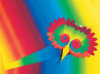 Rainbow Craft Paper - 10 Sheets -
