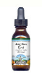 Angelica Root - Liquid Extract / Tincture (1:5) - Alcohol-Free