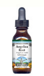 Angelica Root - Liquid Extract / Tincture (1:5) - Chocolate Flavored Alcohol-Free