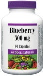 Blueberry 36:1 Concentrate - 500 mg