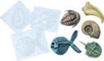 Fossil Molds - Package of 5
