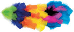 Colored Feathers