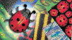 Bug Craft Papers - 40 Sheets