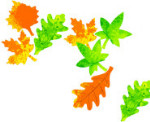 Color Diffusing Leaves - Package of 80