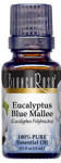 Eucalyptus Blue Mallee Essential Oil