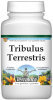 Tribulus Terrestris Root Powder